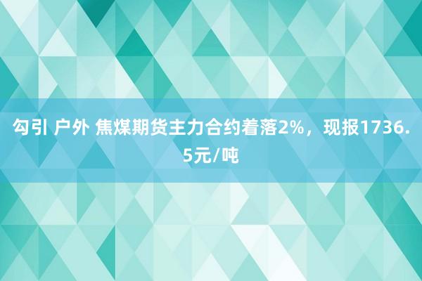 勾引 户外 焦煤期货主力合约着落2%，现报1736.5元/吨