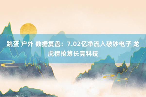 跳蛋 户外 数据复盘：7.02亿净流入破钞电子 龙虎榜抢筹长亮科技