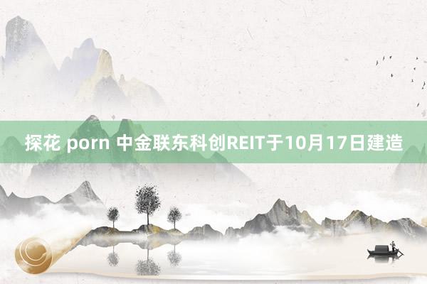 探花 porn 中金联东科创REIT于10月17日建造