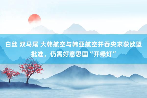 白丝 双马尾 大韩航空与韩亚航空并吞央求获欧盟批准，仍需好意思国“开绿灯”