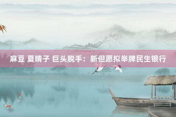 麻豆 夏晴子 巨头脱手：新但愿拟举牌民生银行