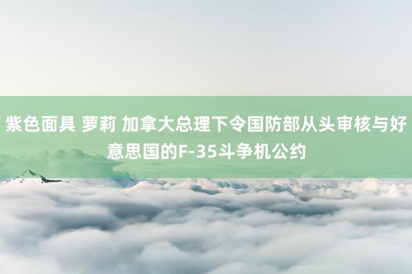 紫色面具 萝莉 加拿大总理下令国防部从头审核与好意思国的F-35斗争机公约